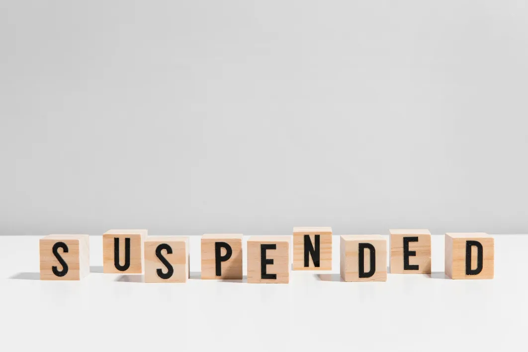 Suspension